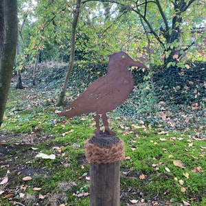 Seagull on bollard maritime