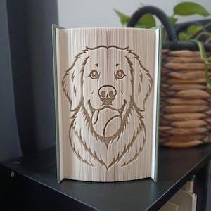 Può includere: Una scultura realizzata con un libro dal design a pagine piegate che crea l'immagine dettagliata del muso di un golden retriever con una pallina da tennis in bocca. Le pagine sono color crema con bordi scuri, formando un ritratto tridimensionale.