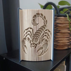 Può includere: Una scultura di libro con un design a pagine piegate che crea una forma di scorpione tridimensionale. Le pagine sono color crema con testo nero visibile e il libro presenta copertine blu scuro sui lati sinistro e destro del dorso.