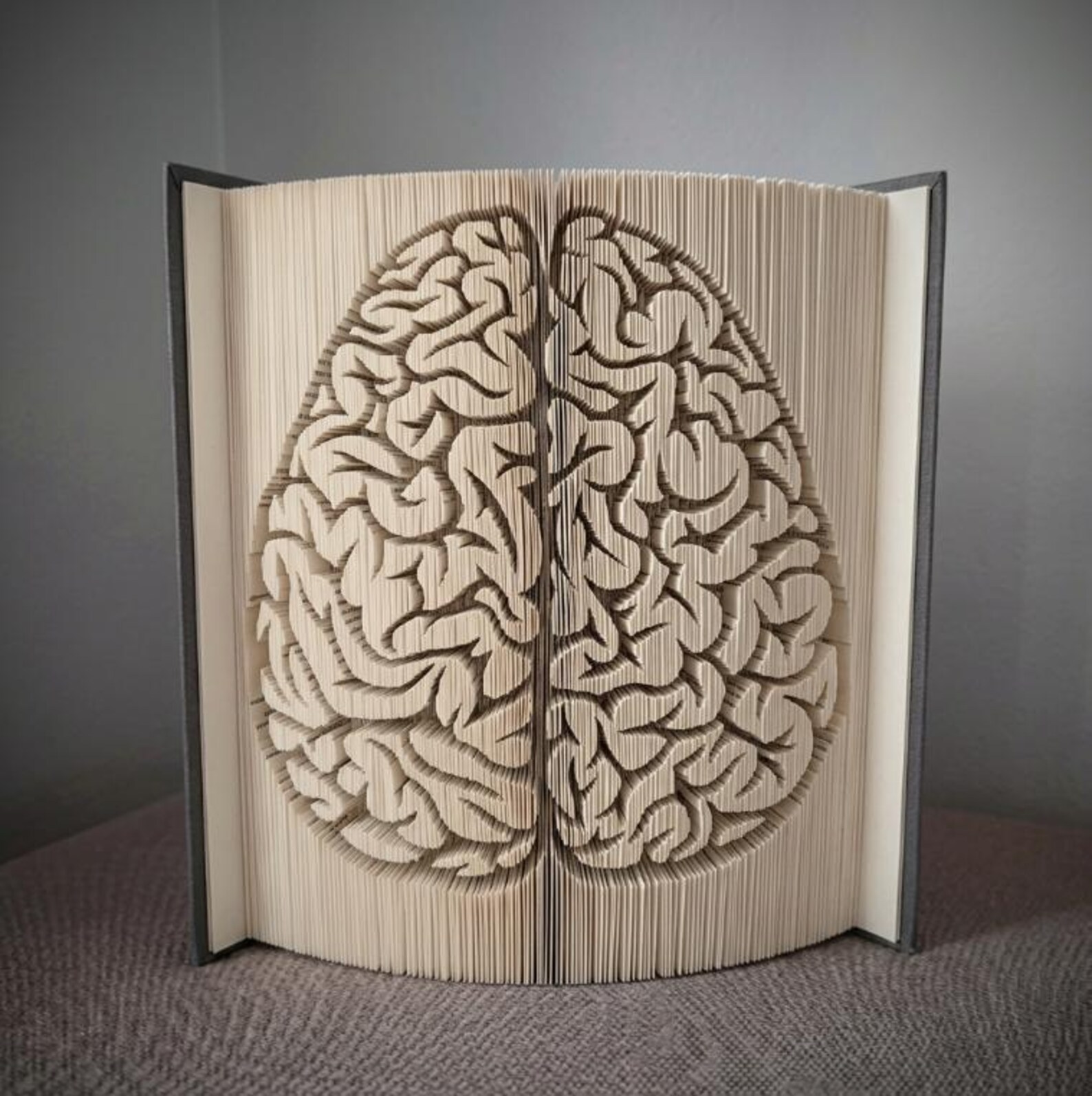 Brain Book Folding Pattern - Cut and Fold - Etsy
