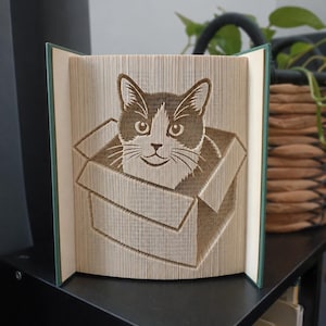 Op de afbeelding: Een gevouwen boekkunstsculptuur met een kat die in een kartonnen doos zit. De pagina's van het boek zijn nauwkeurig gevouwen om het driedimensionale beeld van het gezicht van de kat en de doos te creëren, met donkere inktaccenten op de kat.