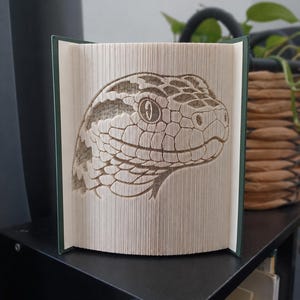 Può includere: Una scultura realizzata con un libro piegato che raffigura una testa di serpente dettagliata, creata piegando con precisione le pagine di un libro con copertina rigida. Le copertine verde scuro incorniciano le pagine color crema a forma di squame.
