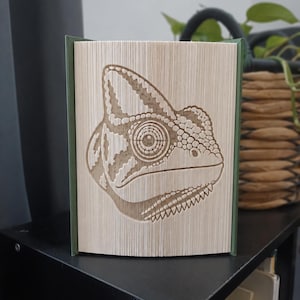 Può includere: Una scultura di libro con un design artistico a pagine piegate raffigurante una testa di camaleonte. Le pagine sono piegate con precisione per formare il contorno dettagliato e il motivo della pelle del rettile, con un dorso verde scuro.