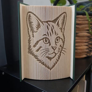 May include: A folded book art sculpture featuring a detailed cat face design created by precisely folding the individual pages of a hardback book. The cat image is formed by the edges of the paper, showing ears, eyes, and whiskers.