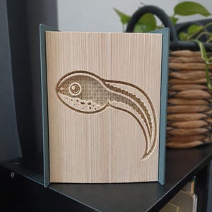 Tadpole Book Folding Pattern - Cut and Fold