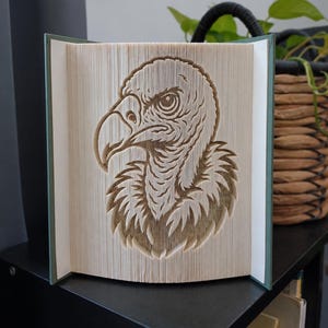 Peut inclure: Une sculpture de livre présentant un motif d'art en pages pliées représentant une tête de vautour de profil. Les pages sont pliées avec précision pour créer l'image détaillée de l'oiseau, avec les couvertures visibles sur les côtés.