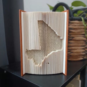 Könnte beinhalten: Eine Buchskulptur mit gefalteten Seiten, die die Silhouette des Landes Mali bilden. Das Buch hat einen rostorangen Einband und ist in einer aufrechten, offenen Position ausgestellt, was die komplizierte Papierfalttechnik verdeutlicht.