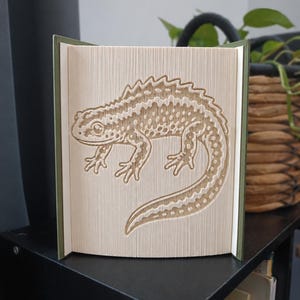 May include: A folded book art sculpture featuring a detailed lizard silhouette created by precisely folding the pages. The book has a dark green cover and the interior pages are cream-coloured, showcasing the intricate texture of the reptile design.