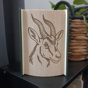 Può includere: Una scultura di libro con un design di arte a pagine piegate raffigurante una testa di stambecco con corna ricurve. Il libro ha una copertina verde scuro e le pagine sono piegate con precisione per creare la sagoma dettagliata dell'animale.