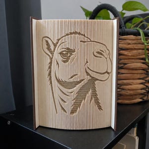 Puede incluir: Una escultura de libro con un diseño de cabeza de camello creado doblando las páginas de un libro. El camello se muestra de perfil con rasgos faciales visibles, incluyendo un ojo, una oreja y un hocico, formados por los bordes del papel.