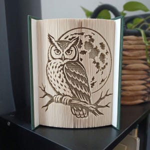 Può includere: Una scultura di libro con un design a pagine piegate che raffigura un gufo appollaiato su un ramo davanti a una grande luna piena. Il libro ha una copertina verde scuro e le pagine sono piegate per creare la sagoma del gufo e della luna.