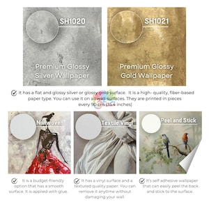 The Birth of the Sun Wallpaper - Renaissance Painting Mural Decor - Peel Stick and One Piece - Wall Art, Roman Mythology, Modern Wallpapers