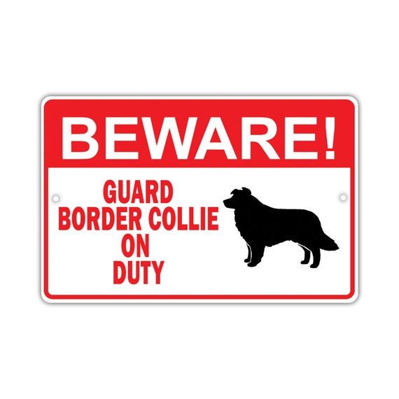 Is A Border Collie A Good Guard Dog