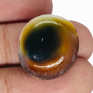 Australian Shiva Eye Shell A One Quality 100% Natural Shiva Eye Cabochon Loose Gemstone For Making Jewelry
