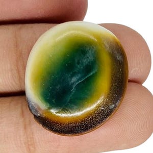 Australian Shiva Eye Shell A One Quality 100% Natural Shiva Eye Cabochon Loose Gemstone For Making Jewelry