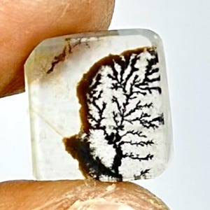 Scenic Dendritic Agate Cabochon, AAA Grade Gemstone
