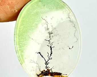 Natural Dendritic Agate Gemstone | Unique Scenic Gem for Crafting