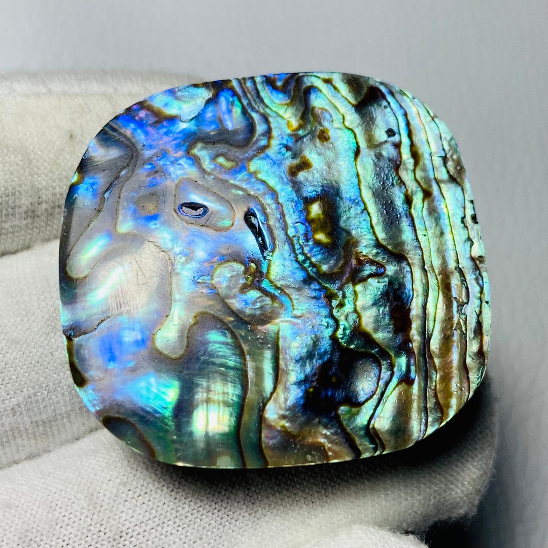Abalone Shell, Natural Abalone Shell ,loose Stone, Hand Made Gemstone ...
