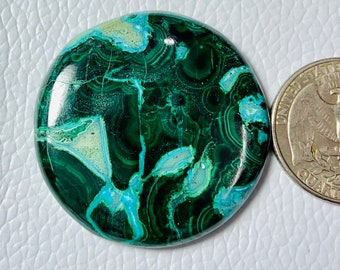 CRYSOCOLLA MELACHIT, Edelstein, Designer Papageiflügel Chrysokoll Cabochon, loser Edelstein 99CRT (38x38x5), mm #852