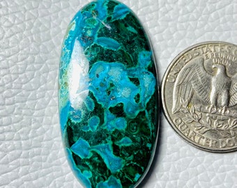 CRYSOCOLL MELACHIT, Edelstein, Designer Papagei Flügel Chrysokoll Cabochon, Edelstein 61CRT (43x21x6), mm #1689