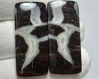 May include: Two rectangular pieces of polished agate with a black and white pattern. The agate has a natural, organic look with a white, dendritic pattern on a black background.