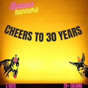 CHEERS TO 30 YEARS. Funny 30th banner. Funny/Rude 30th banners for fun party people. 30th birthday decorations