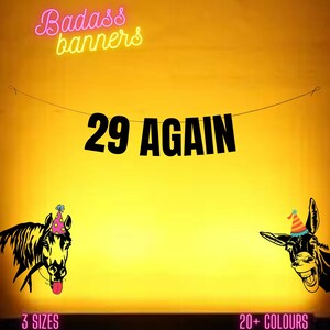 29 AGAIN. Funny 30th Birthday banner. Funny/Rude 30th birthday Party banners for fun party people. 30th birthday decorations