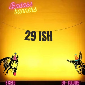 29 ISH. Funny 30th banner. Funny/Rude 30th banners for fun party people. 30th birthday decorations