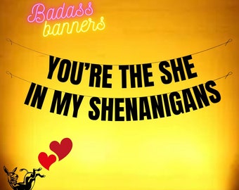 You're the SHE In My SHENANIGANS.  Funny Galentines banner. Valentines day party decor sign. Funny adult Valentines party decorations