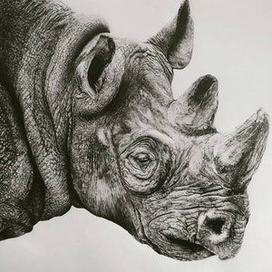 Rhino - Samran Akhtar Pencil Drawing Giclee Print