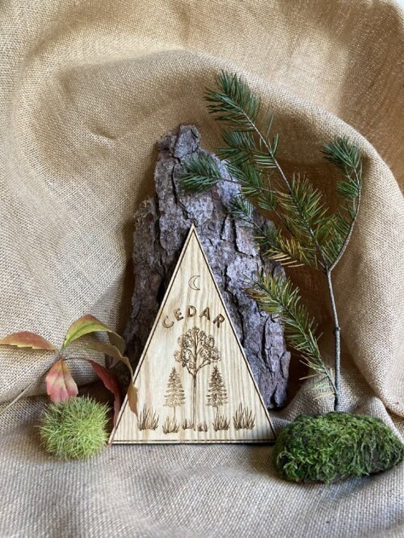 Plaque Bois Personnalisée avec Un Prénom ou Le Nom de Votre Animal - Chien Cheval Horse Dog- Pet Nam