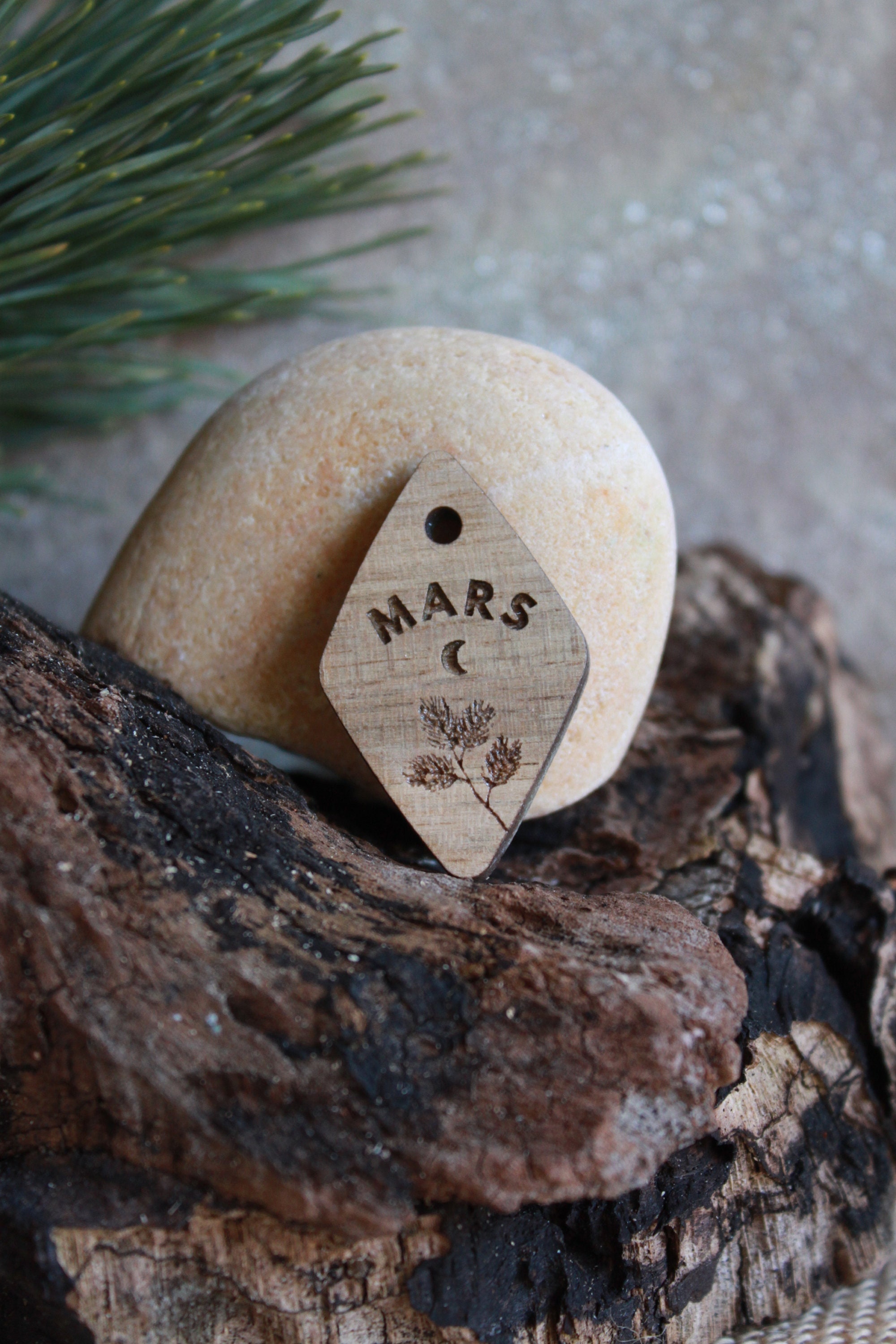 Médaille Pour Chien en Bois - Modèle Mars