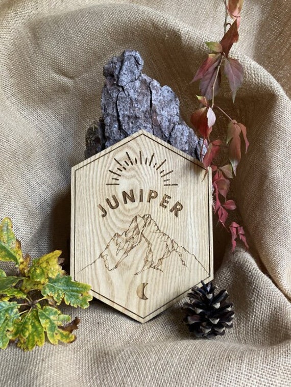 Plaque Bois Personnalisée avec Un Prénom ou Le Nom de Votre Animal - Chien Cheval Horse Dog- Pet Nam