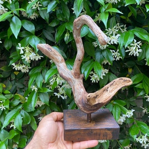 necklace stand, natural wood sculpture, jewelry holder, jewelry holder stand, bird stand, watch stand, tree jewelry display stand