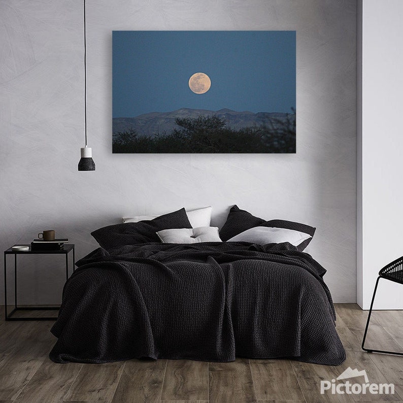 Full Moon Wall Art Photos, Full Moon Decor, Full Moon Canvas, Moon