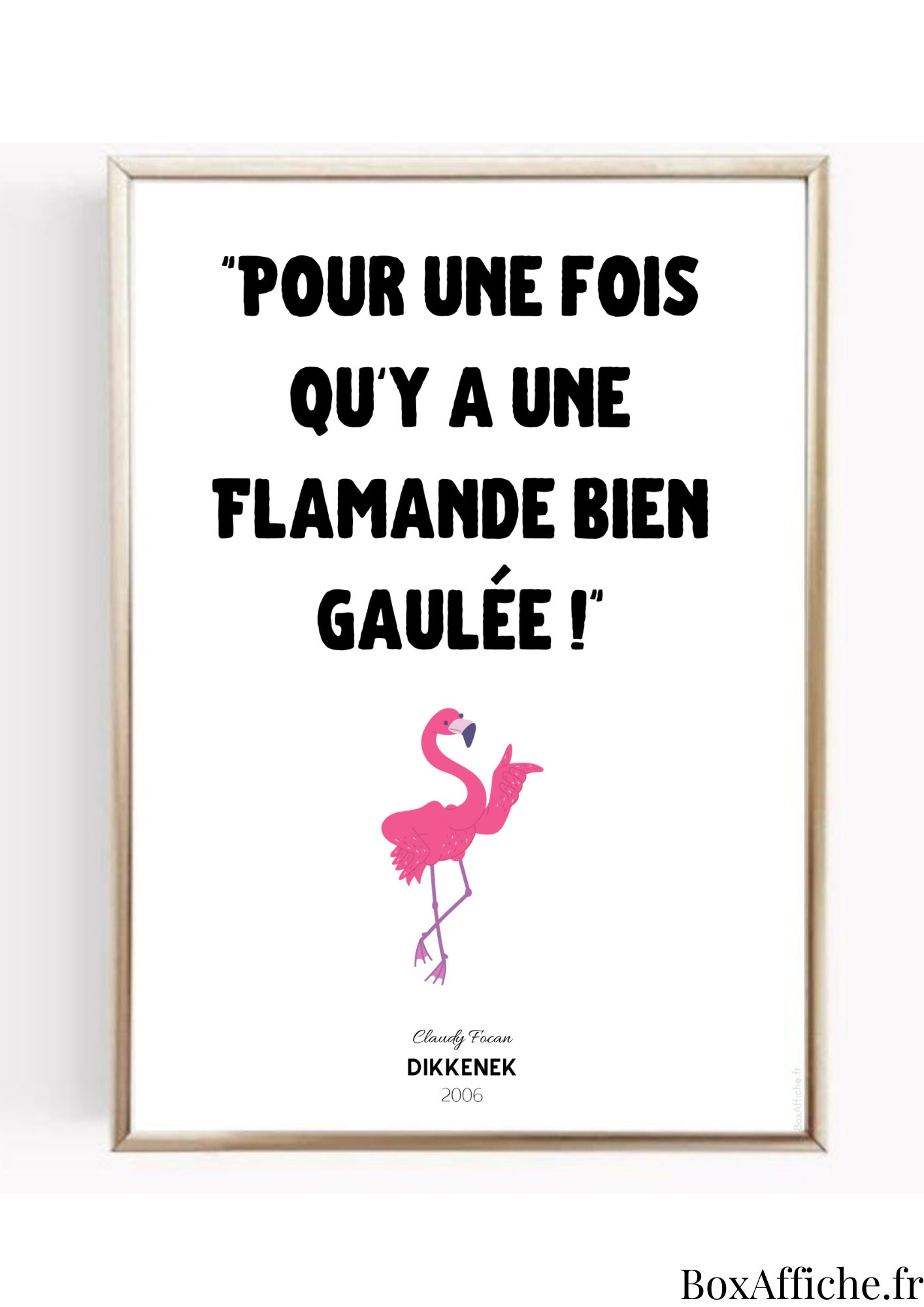 Affiche Cinéma - Dikkenek Flamande Réplique Culte Idée Cadeau Anniversaire Box Office Envoi Rapide