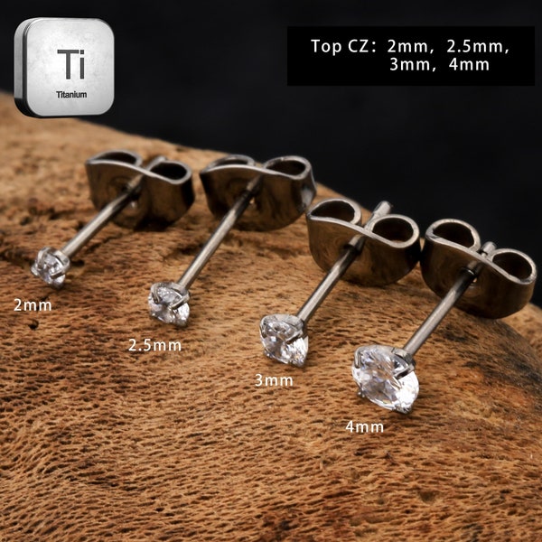 Ti2 Titanium Tiny Dome Stud Earrings main image 0