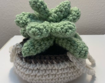 Succulenta appesa all'uncinetto di medie dimensioni, pianta appesa all'uncinetto, decorazioni per la casa, pianta in vaso all'uncinetto personalizzata, amante delle piante, pianta finta