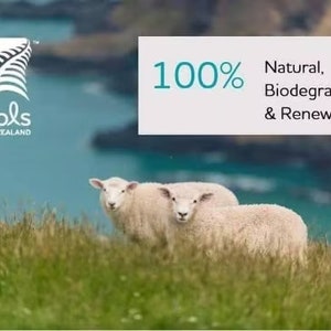 May include: Image features two sheep in a grassy field with a body of water in the background. Text reads "100% Natural, Biodegradable & Renewable." The "wools of New Zealand" logo is in the upper left corner.