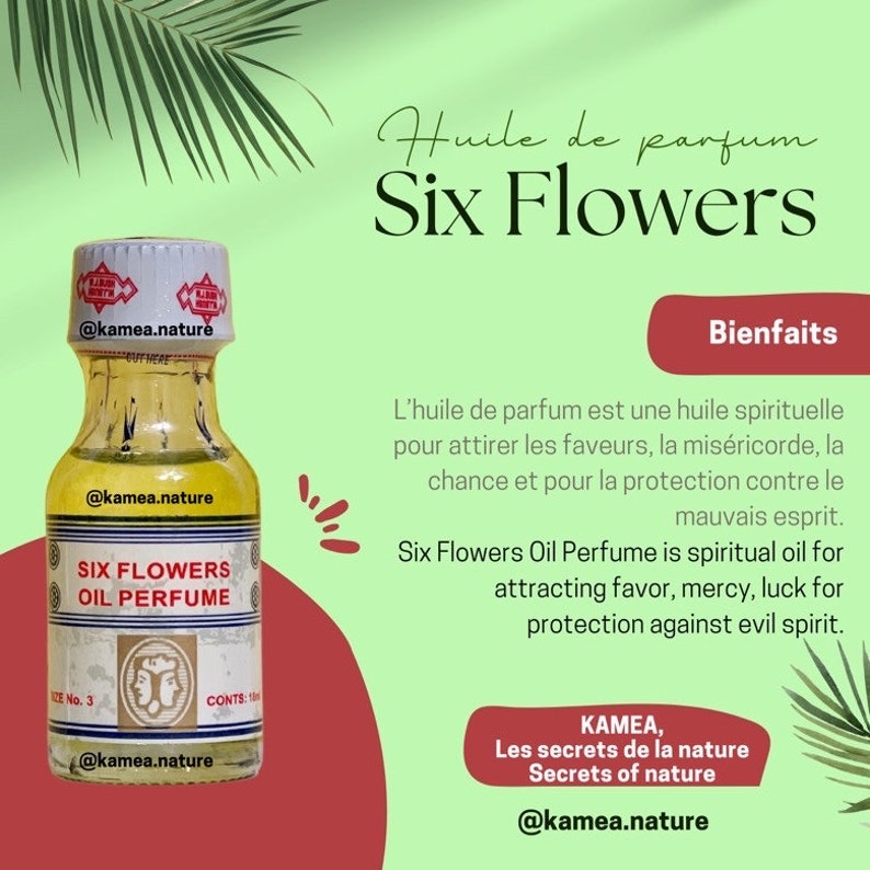 Six Flowers Perfume Oil Content 18ml Etsy