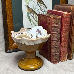 May include: A ceramic pedestal bowl with a glossy brown base and a cream-colored scalloped rim, filled with several white and grey seashells. The bowl sits on a flat surface next to two antique red books with gold lettering and a framed bird print.