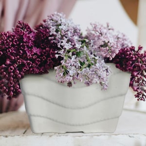 May include: A square, white ceramic planter with a wavy design, filled with vibrant purple and lavender lilac blossoms. The flowers are in full bloom, creating a colorful and textured display. The planter sits on a white surface.