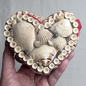 May include: Heart-shaped trinket box decorated with various seashells. The box features a mix of beige and brown shells, with a red fabric lining visible inside. The edges are adorned with small, circular, beige accents.