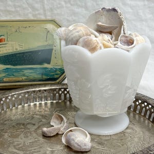 May include: A white, footed, decorative glass bowl filled with seashells. The bowl has a floral design and sits on a silver tray. A vintage tin with a ship illustration is in the background. Several seashells are scattered around the bowl.