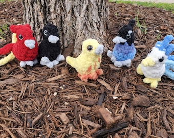 Bird species, crocheted