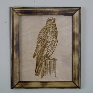 Laser Engraving Art, Hawk
