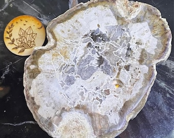 May include: A large, irregularly shaped petrified wood slab with a light brown and white pattern. A small, round wooden coaster with a crystal and leaf design is next to the slab.