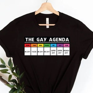The gay agenda shirt, Gay Shirt, LGBT Shirt, Bisexual Shirt, Lesbian Shirt, vintage shirt, LGBT Gift, Pride Rainbow Shirt, trendy shirt,