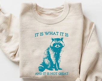 It Is What It Is And It Is Not Great Sweatshirt, Vintage Sweatshirt, Raccoon Sweatshirt, Mental Health Sweatshirt, Funny Sweatshirt Women