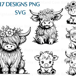 Hooglandkoe png, hooglandkoe, hooglandkoe png-bundel, hooglandkoe png voor sublimatie, baby hooglandkoe png, hooglandkoe clipart png